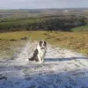 Ben Bedford - @ben.bedford - TikTok