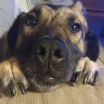 Ben Bedford - @bennyb848 - Instagram