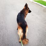 Ben&Beer - @benbeer_daily - Instagram