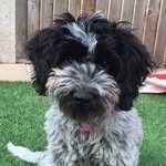 Ben Beesley - @beesle01 - Instagram