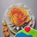 S B Begum - Facebook