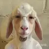 Ben Behnke - @ben_behnke69 - TikTok