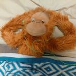 Ben Behrendt - @benbehrendt02 - Instagram
