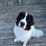 Ben Behrendt - @onsejo19 - Instagram