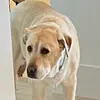 Ben Behrle - @ben.behrle - TikTok