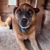 Ben Behrle - @ben.behrle0 - TikTok