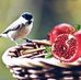 Beit-El BnB - Facebook