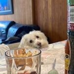 Benjamin Bejarano - @benjamin_bejarano4 - Instagram