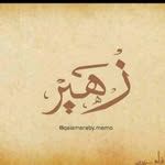 زهير بن بلقاسم - @benbelkacemzohir - Instagram