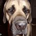 Ben Bellman - Facebook