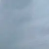 benjaminbelluccipov - @benjaminbelluccipov - TikTok