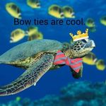 Ben Belnap - @ihaslotsofpatches - Instagram