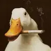 benjamin - @benjambement - TikTok