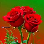 Ben Benard - Facebook