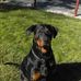 Ben Benavides - Facebook