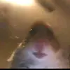 Ben Benham - @benbenham722 - TikTok
