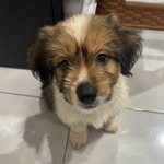 Ben Bennet - @bingbangben - Instagram