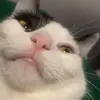 Ben Bequette - @ben.bequette - TikTok