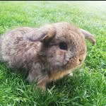 ☆Benik🥕☆ - @benik_beranek - Instagram