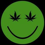 ben bergeron - @bergeron954 - Instagram