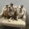 Berk_and_Bent - @berk_and_bent - TikTok