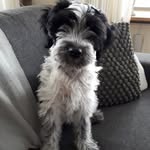 Ben Berken - @b.berken1946 - Instagram
