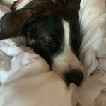 BennyBerkowitz - @benny_berkowitz - Instagram