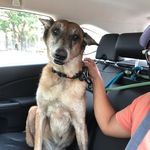 Ben Casañares Bernal - @ben.bernal.961 - Instagram