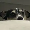 Benjamin & Bernie - @benandberni - TikTok