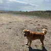 benbernstein4 - @benbernstein4 - TikTok