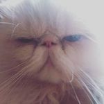 Ben.bicky - @_ben_bicky - Instagram