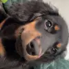 ben billings - @benbillings - TikTok