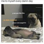 Ben Billings - @ben.billings.50 - Instagram