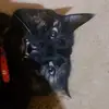 benbitter._.q - @benbitter._.q - TikTok