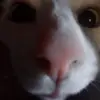 Ben Block - @user6548120619507 - TikTok