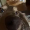 Ben - @block_ben - TikTok