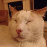 Ben Bloomfield - @benbloomfield3333 - Instagram