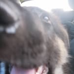 Ben B - @ben_blyth_8 - Instagram