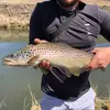 BTB - @benblyton87 - TikTok