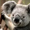 ben boardman - @ben.boardman - TikTok