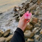 Bochra Ben - Facebook