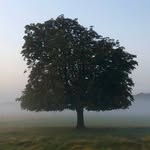 Ben Bodmer - @benbo1986 - Instagram