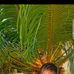 Sky B Pikin - Facebook