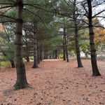 Ben Boldt - @bb1252 - Instagram