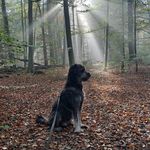 Ben Boles - @ben.boles1 - Instagram