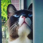 Ben Bolinha ⚾️ - @benbolinha - Instagram