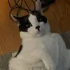 bolinben - @bolinben6 - TikTok