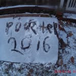 porter ben bollinger - @porterbenbollinger - Instagram