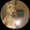 Estiben Bonilla - @estiben.bonilla06 - TikTok