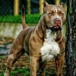 Haciel Ben Shaday Castañeda Bonilla - @furbi_2005 - Instagram